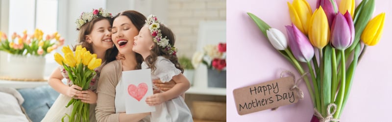 Best Mother's Day Gifts To create Mother Feel Celebrated; Mother's Day gift Item ideas; Mother's day gift idea; Best gift idea of mothers day; Dekora best gift item of mother's day; Mother's Day; Mother's Day gift Provde; Dekora mother's Days gift item; 